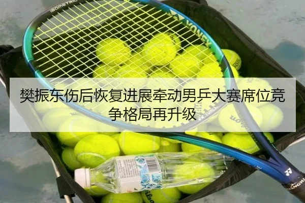 樊振东伤后恢复进展牵动男乒大赛席位竞争格局再升级